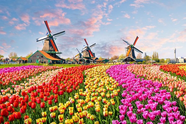 Home belanda