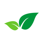 —pngtree—green leaves vector icon design 5224035